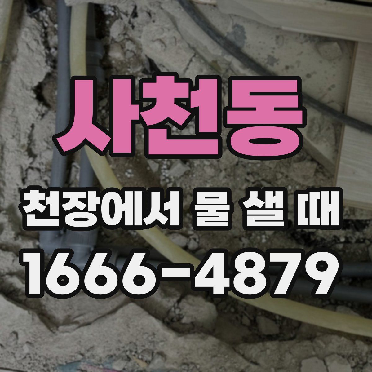 사천동 천장에서 물 샐 때