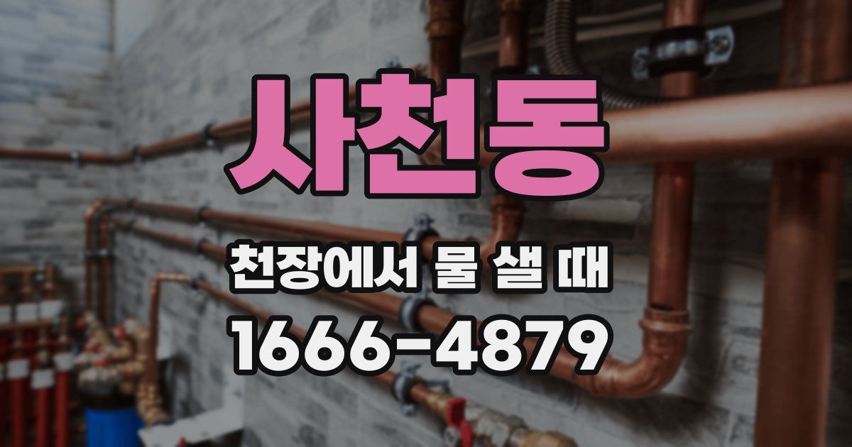 사천동 천장에서 물 샐 때