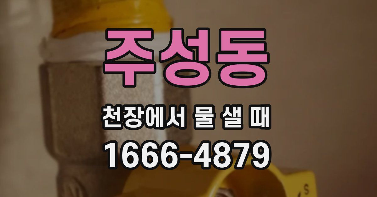 주성동 천장에서 물 샐 때