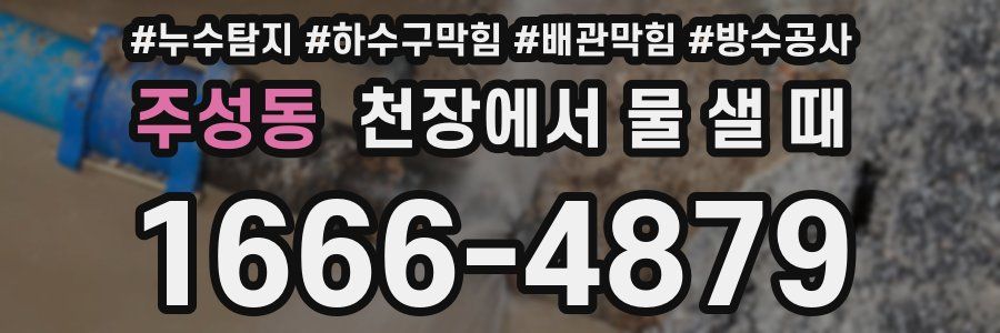주성동 천장에서 물 샐 때