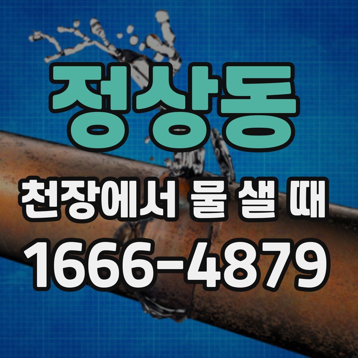 정상동 천장에서 물 샐 때