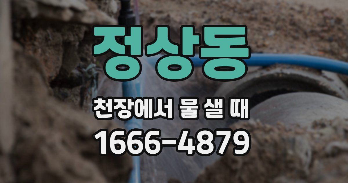 정상동 천장에서 물 샐 때