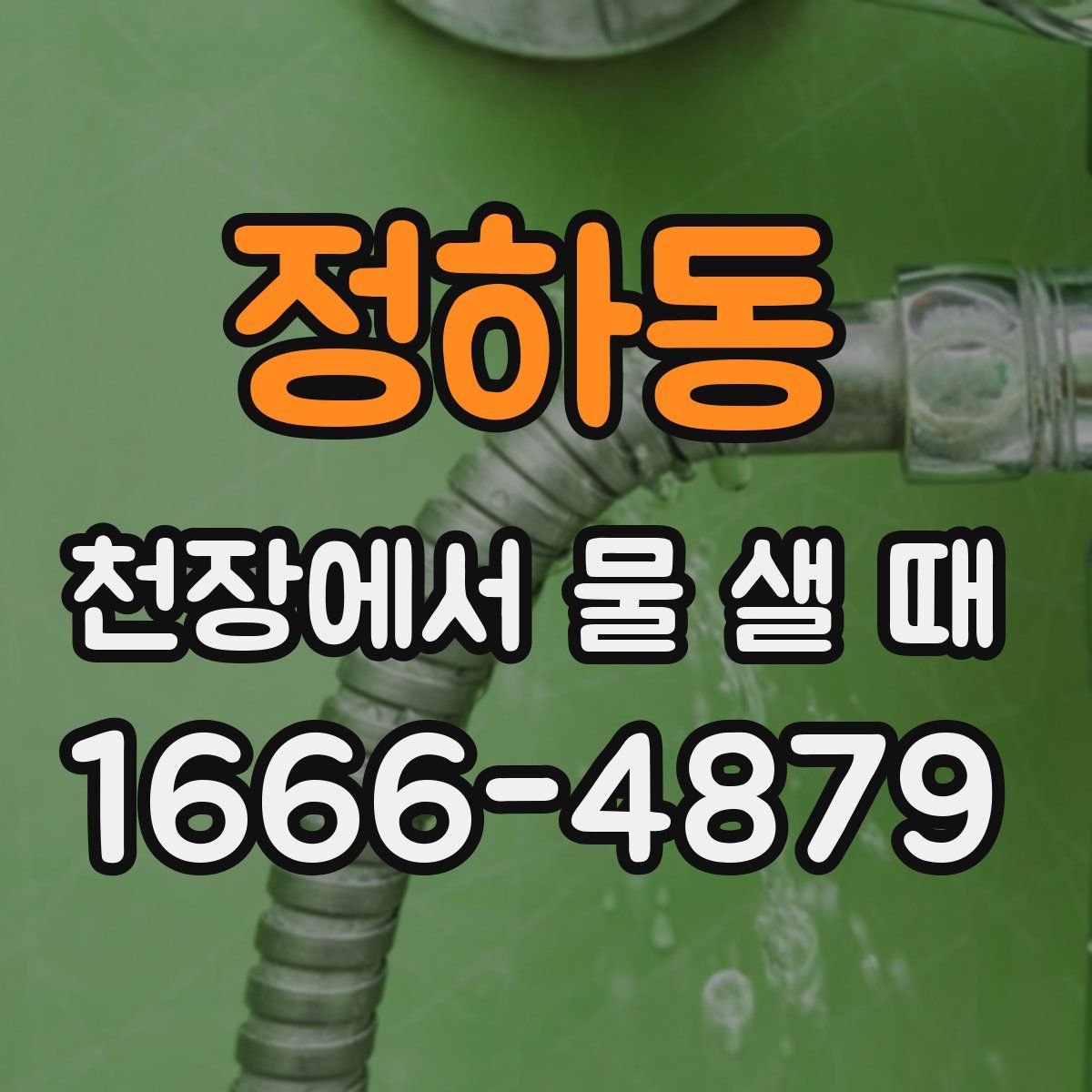 정하동 천장에서 물 샐 때
