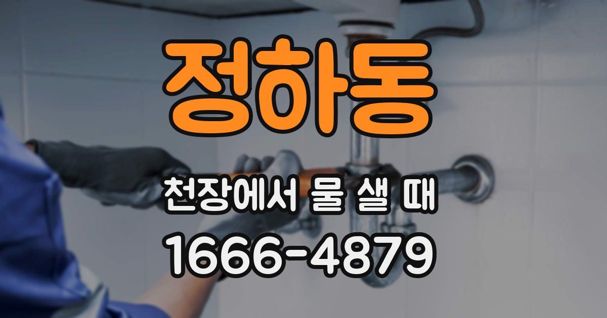 정하동 천장에서 물 샐 때