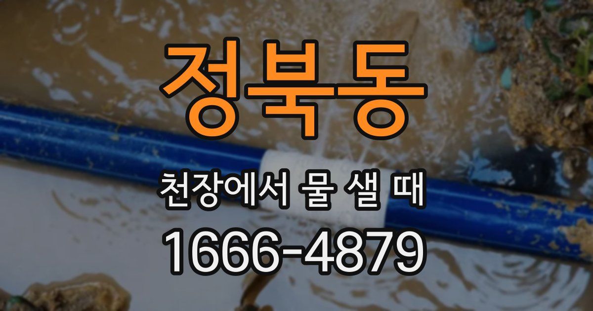 정북동 천장에서 물 샐 때