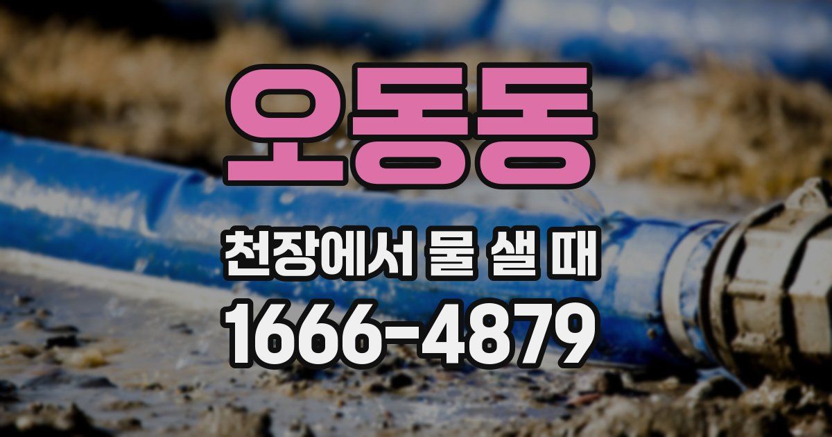 오동동 천장에서 물 샐 때