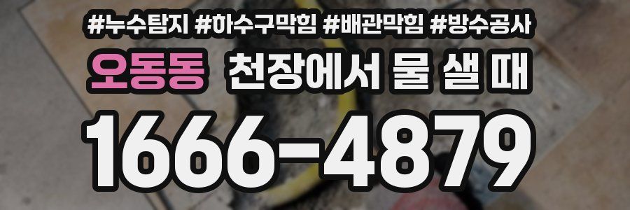오동동 천장에서 물 샐 때