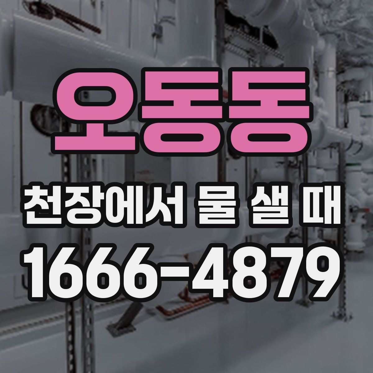 오동동 천장에서 물 샐 때