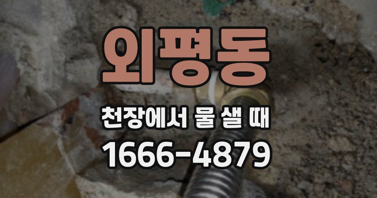 외평동 천장에서 물 샐 때
