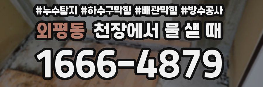 외평동 천장에서 물 샐 때