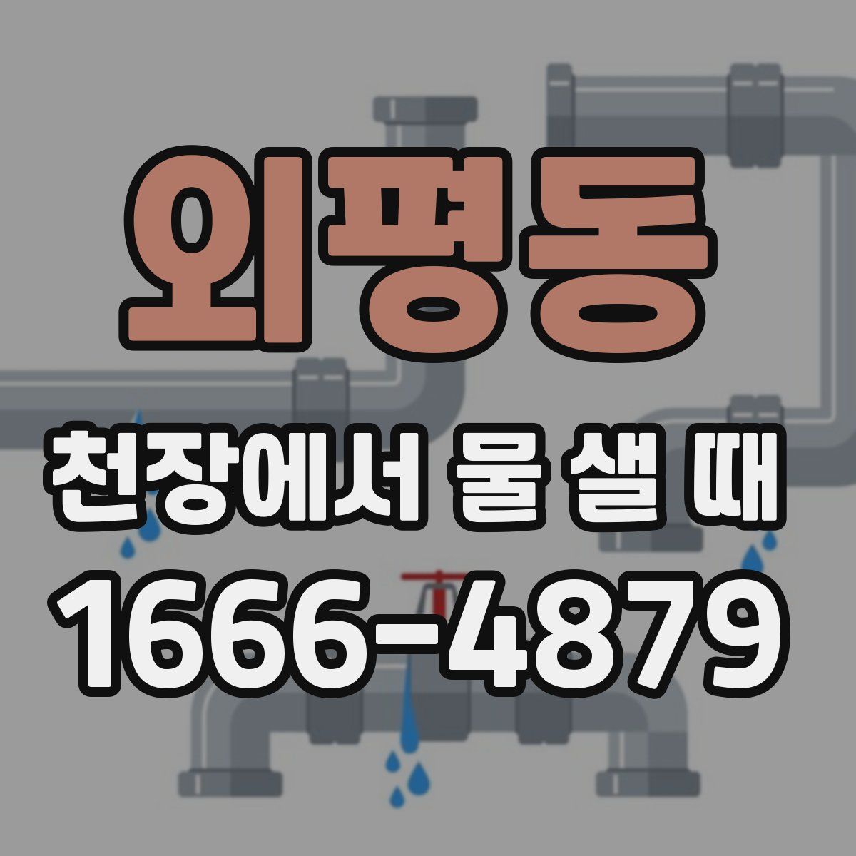 외평동 천장에서 물 샐 때