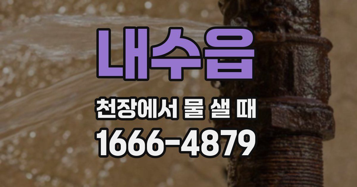 내수읍 천장에서 물 샐 때