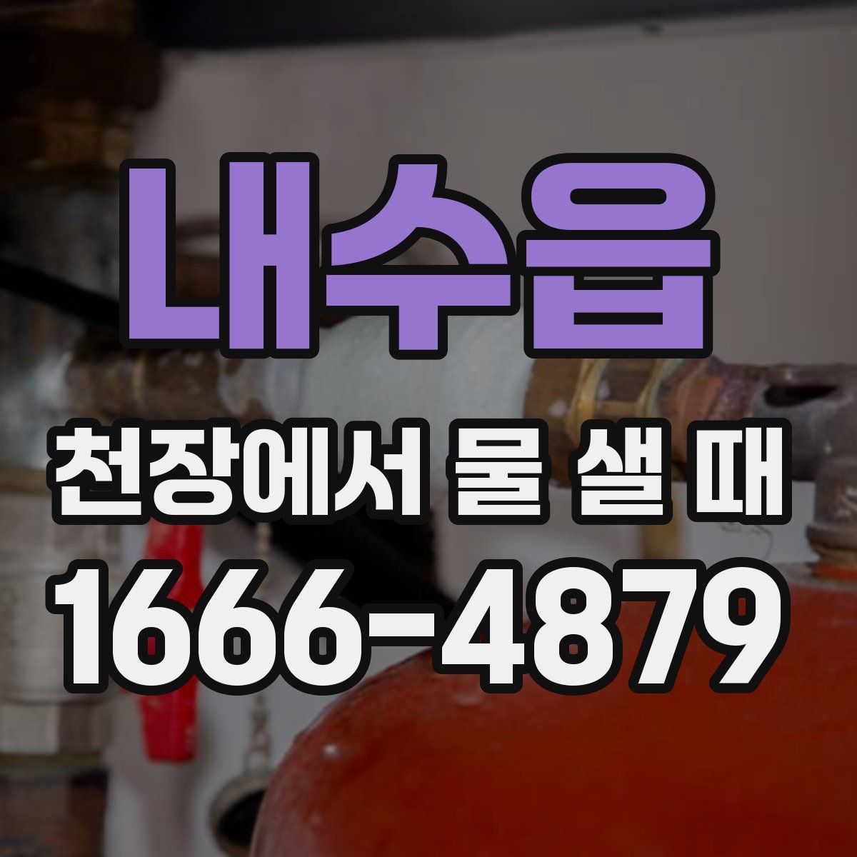 내수읍 천장에서 물 샐 때