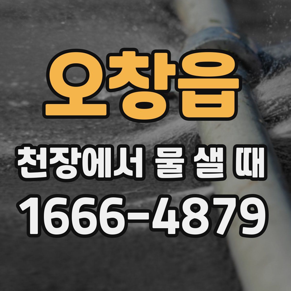 오창읍 천장에서 물 샐 때