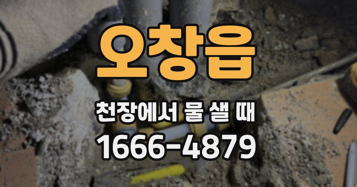 오창읍 천장에서 물 샐 때
