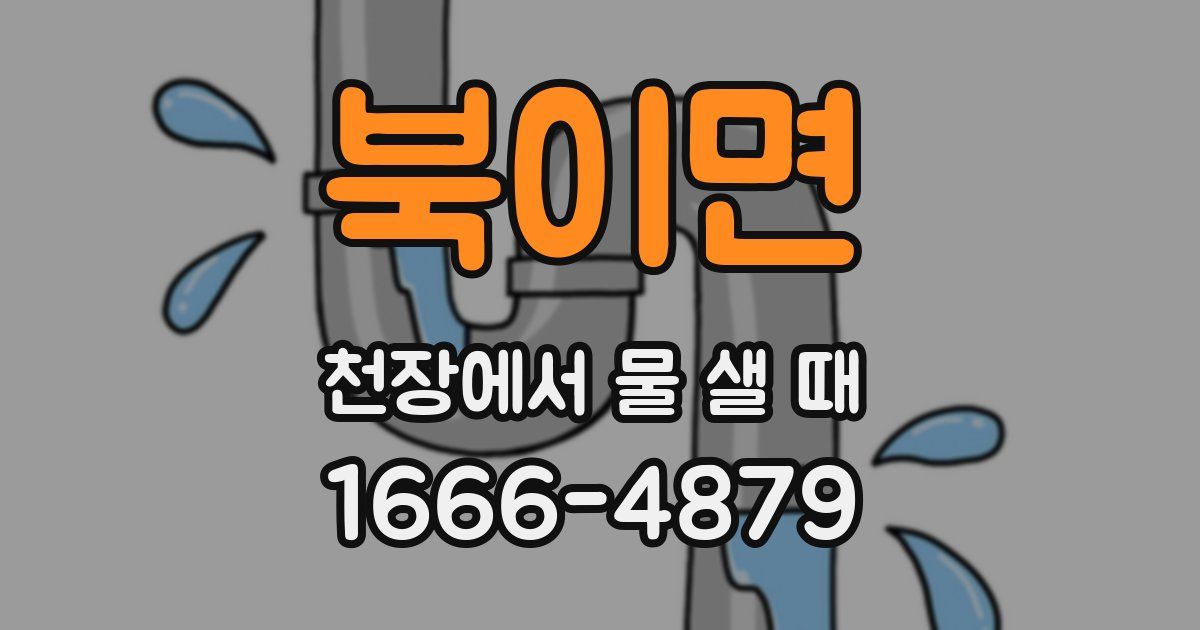 북이면 천장에서 물 샐 때