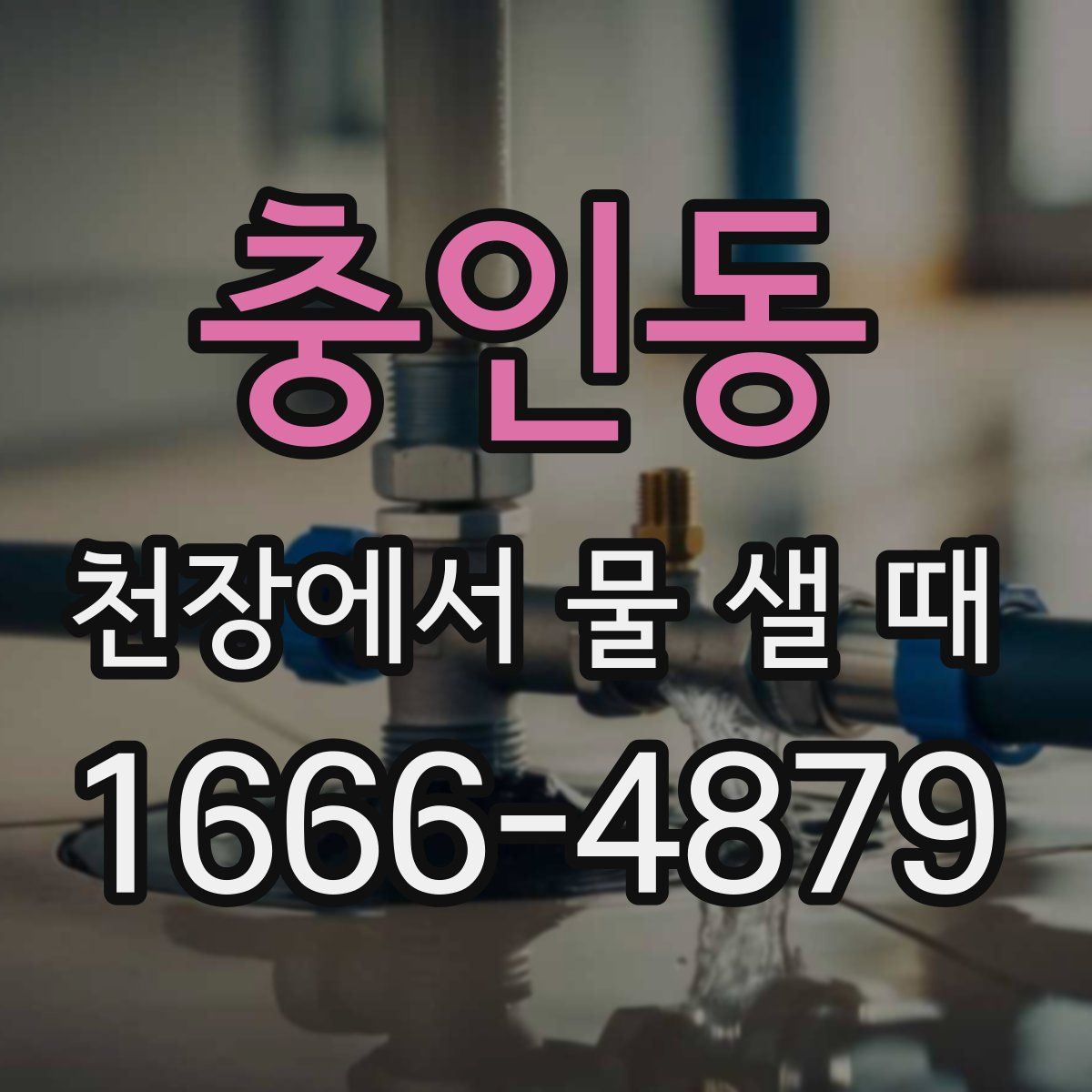 충인동 천장에서 물 샐 때
