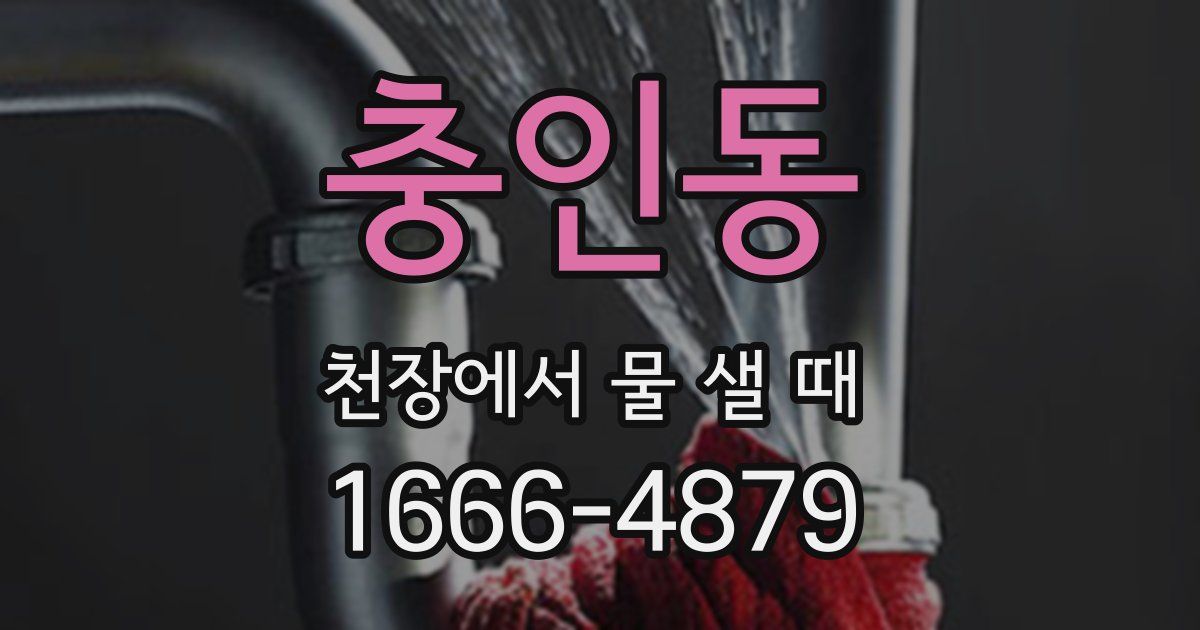충인동 천장에서 물 샐 때