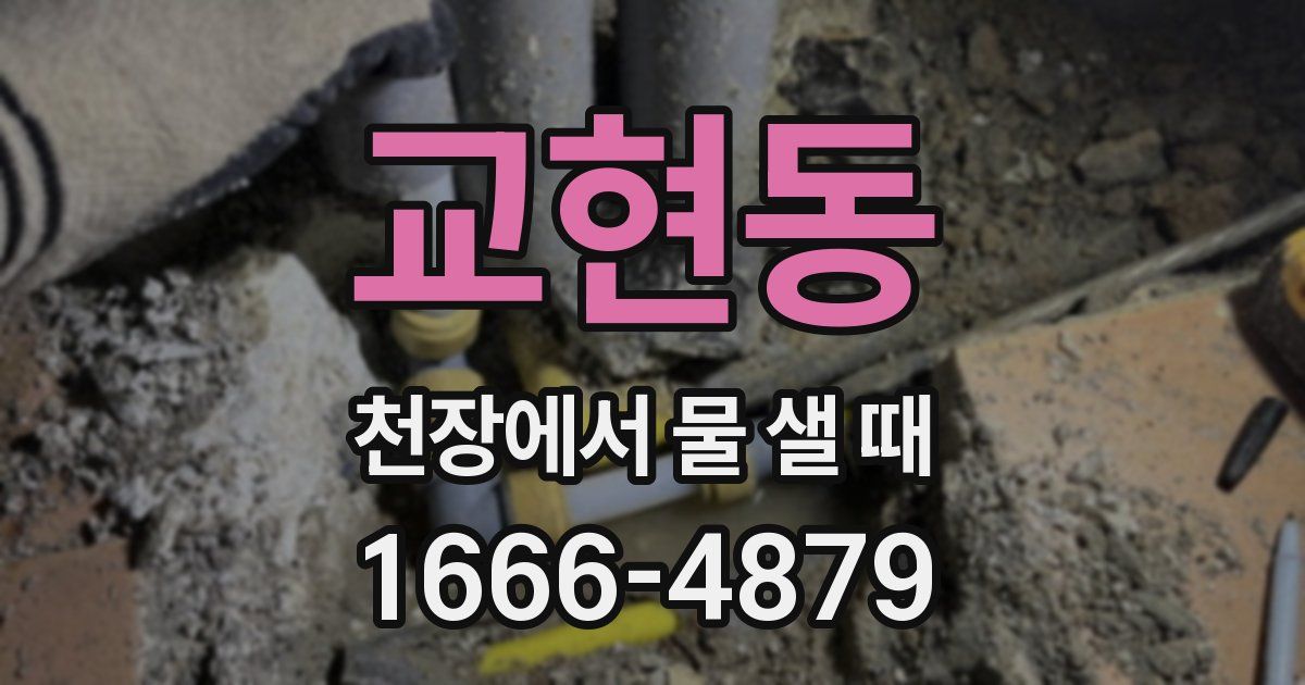 교현동 천장에서 물 샐 때