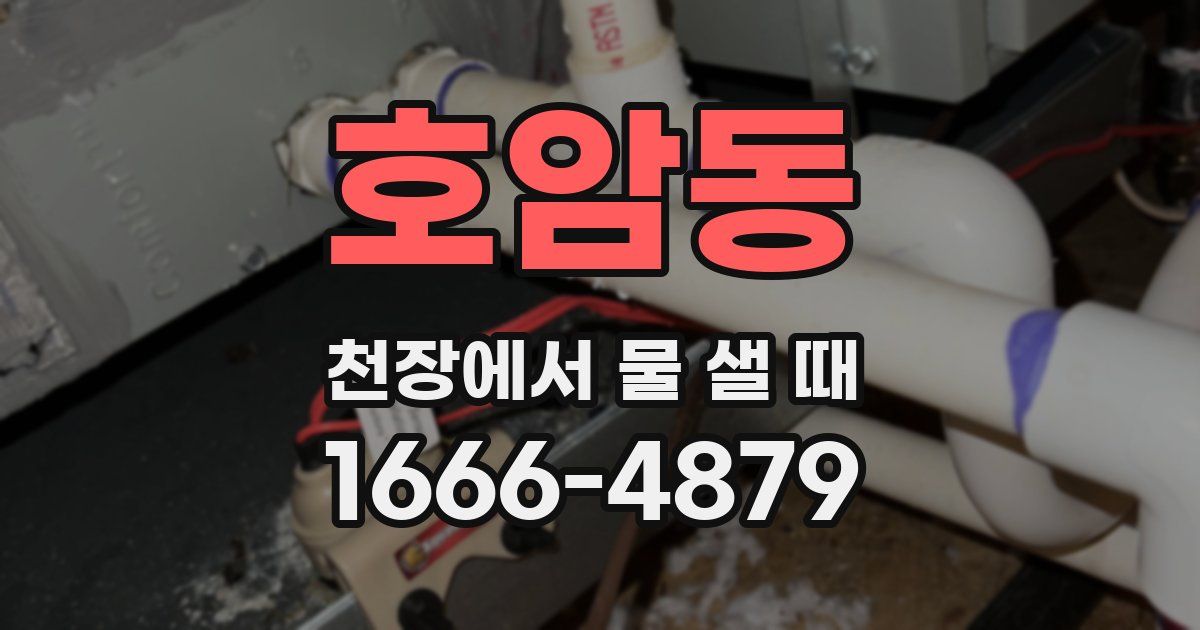호암동 천장에서 물 샐 때