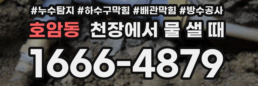 호암동 천장에서 물 샐 때