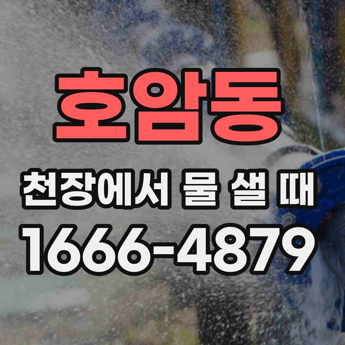 호암동 천장에서 물 샐 때