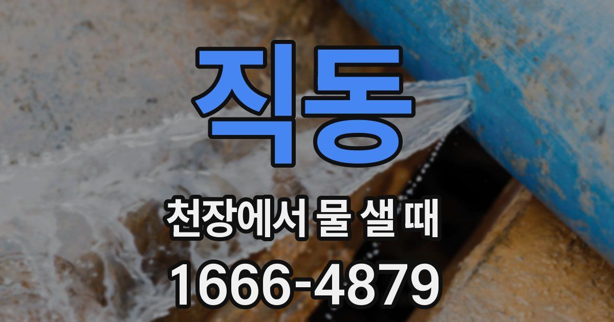 직동 천장에서 물 샐 때