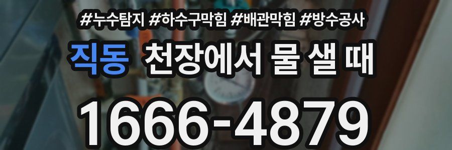 직동 천장에서 물 샐 때
