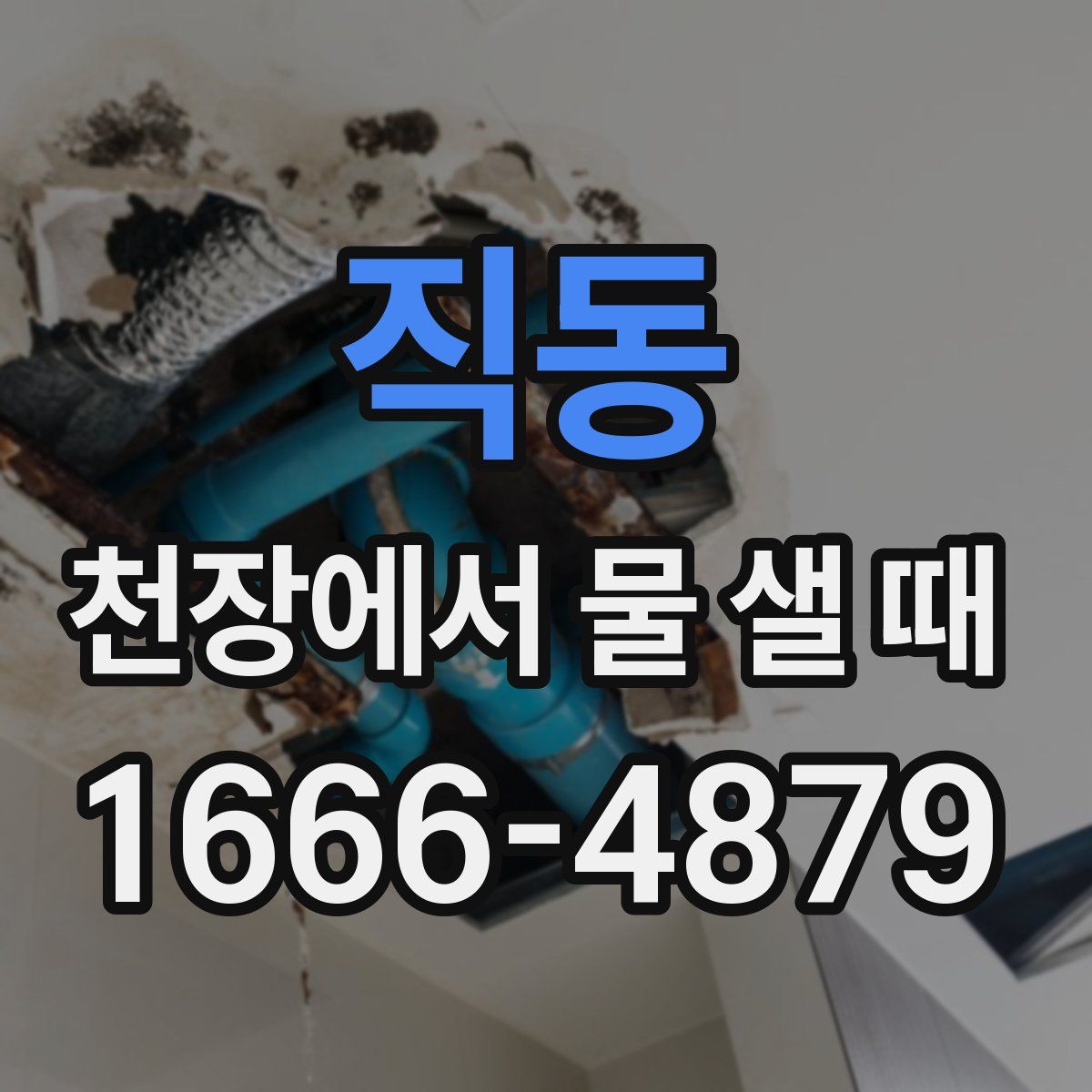 직동 천장에서 물 샐 때