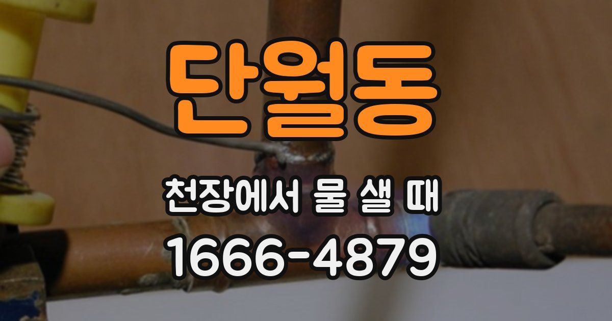 단월동 천장에서 물 샐 때