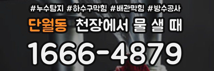 단월동 천장에서 물 샐 때