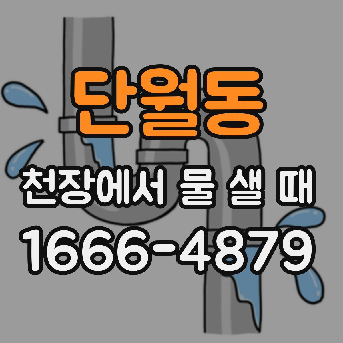 단월동 천장에서 물 샐 때