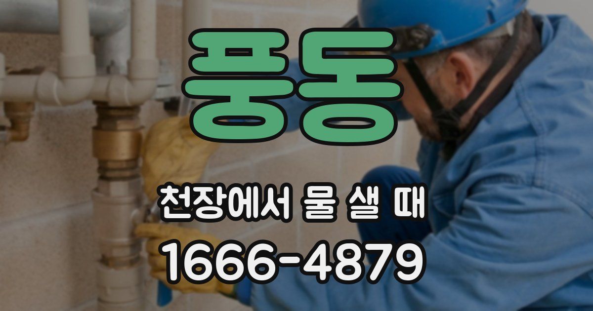 풍동 천장에서 물 샐 때