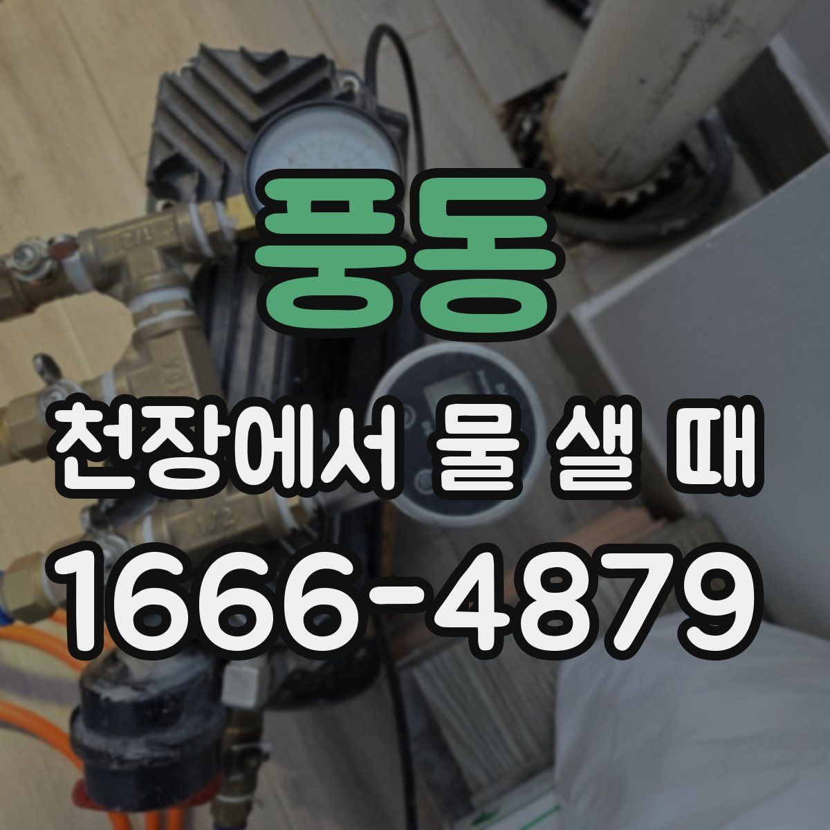 풍동 천장에서 물 샐 때