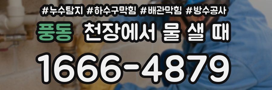 풍동 천장에서 물 샐 때