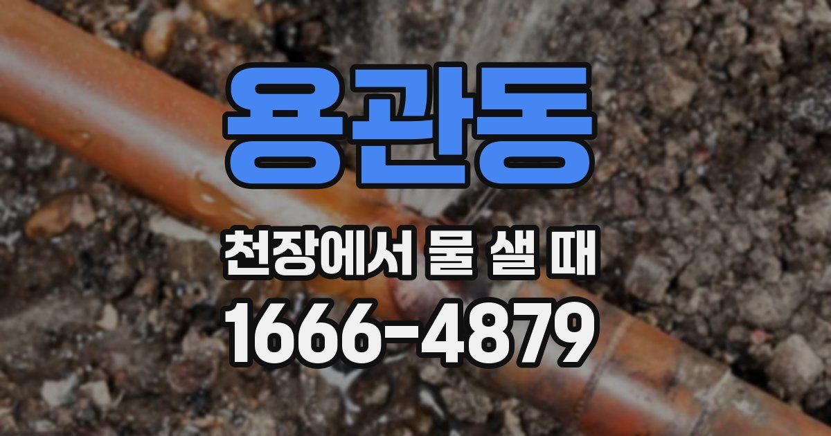 용관동 천장에서 물 샐 때
