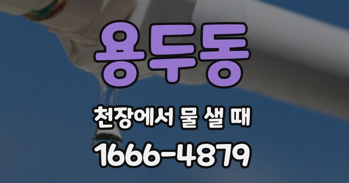 용두동 천장에서 물 샐 때