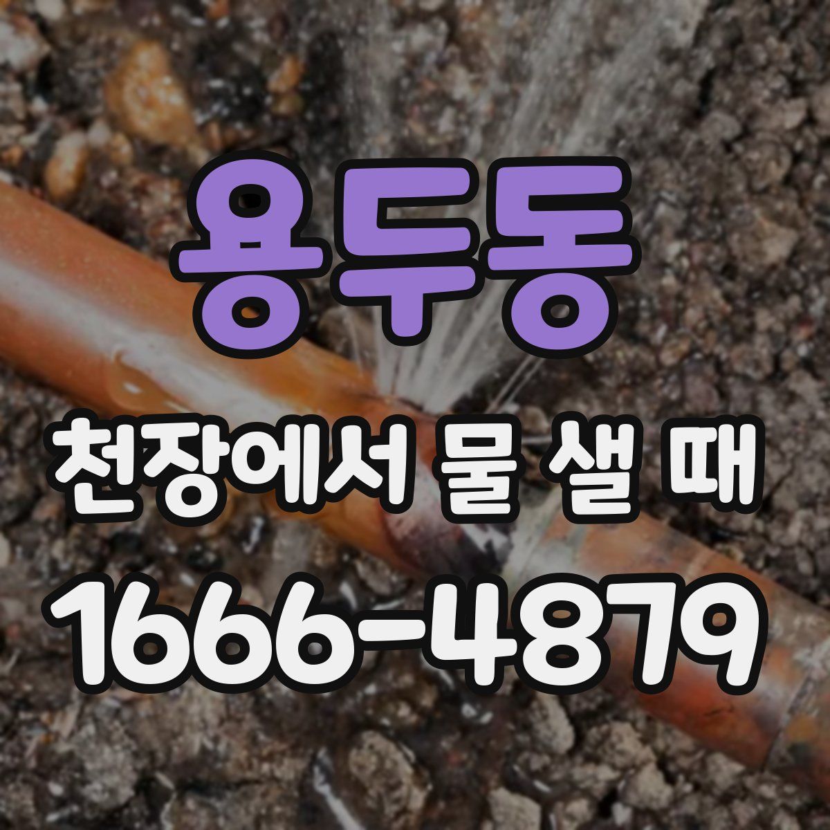용두동 천장에서 물 샐 때