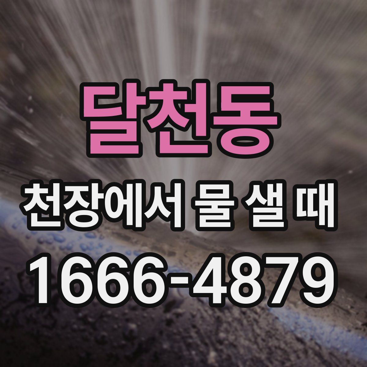 달천동 천장에서 물 샐 때