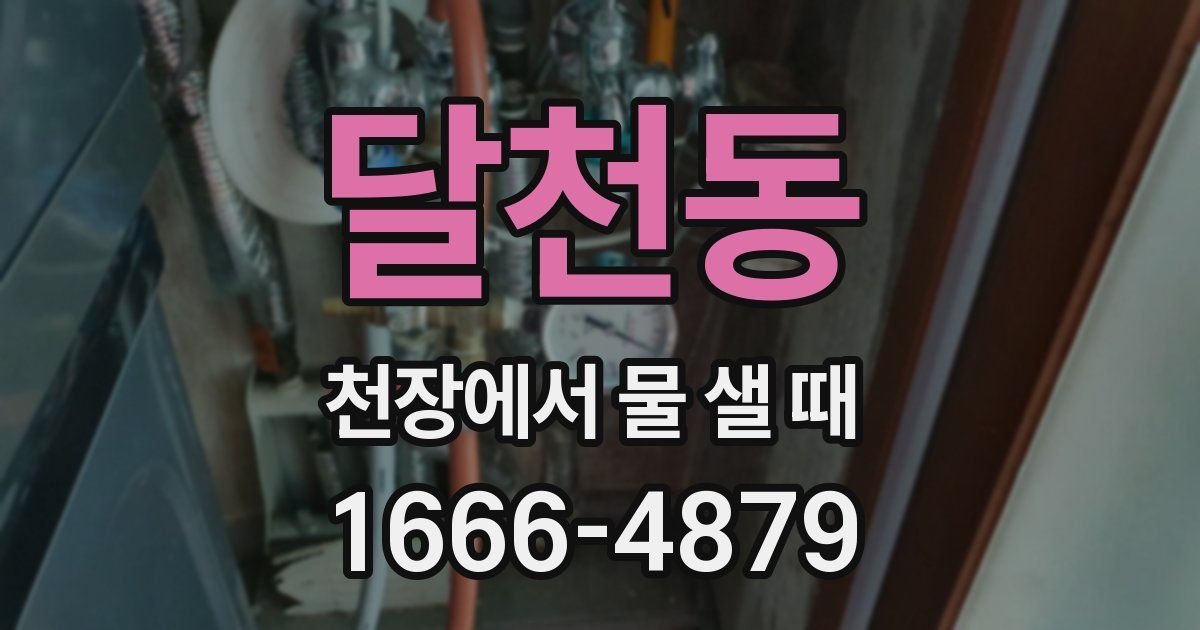 달천동 천장에서 물 샐 때