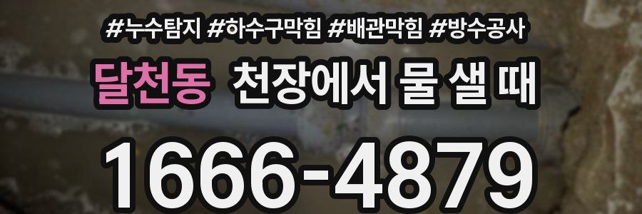 달천동 천장에서 물 샐 때