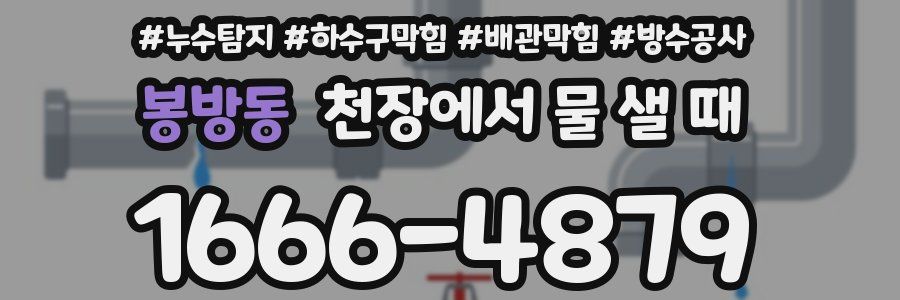 봉방동 천장에서 물 샐 때