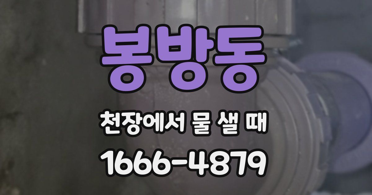 봉방동 천장에서 물 샐 때