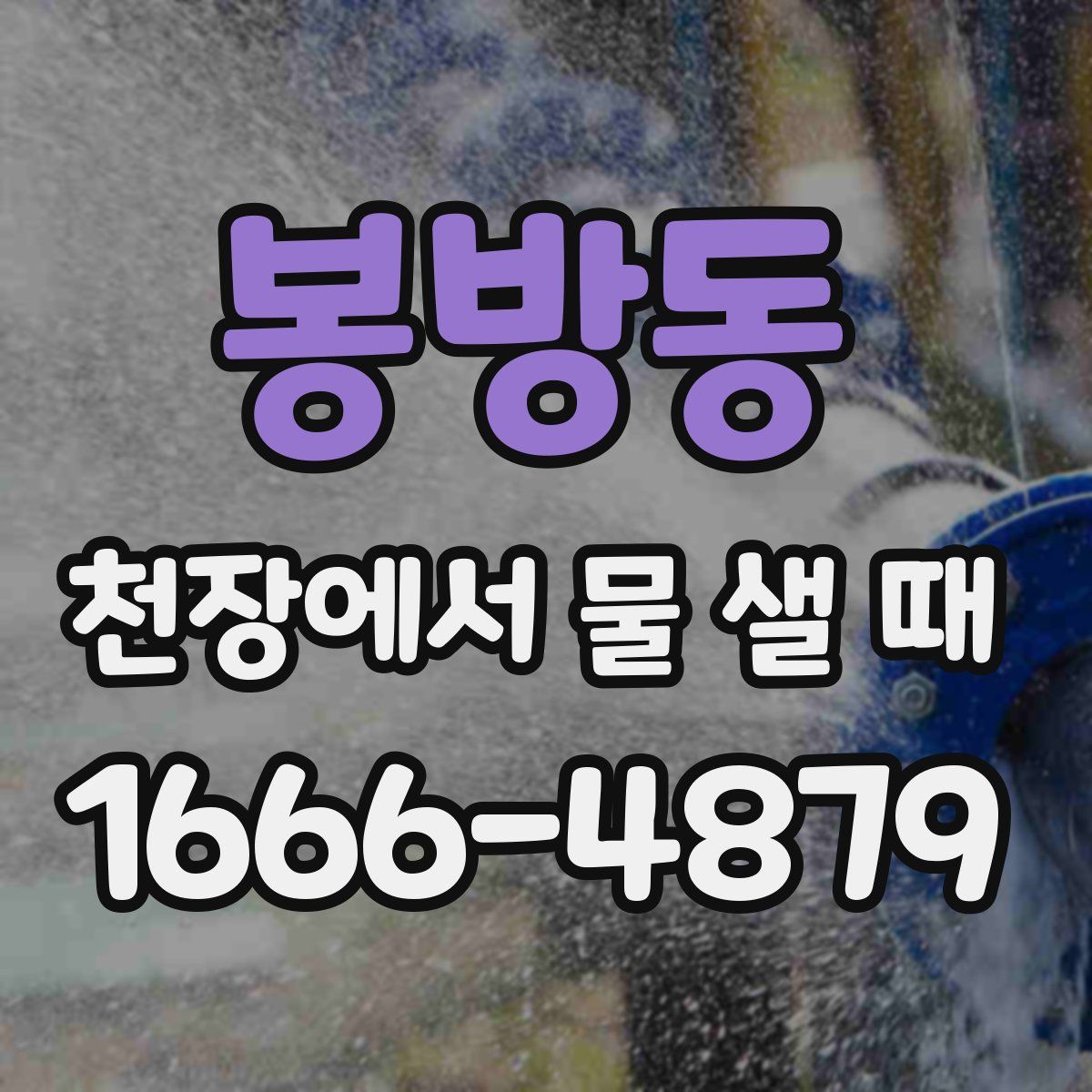 봉방동 천장에서 물 샐 때
