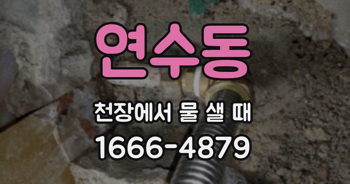 연수동 천장에서 물 샐 때