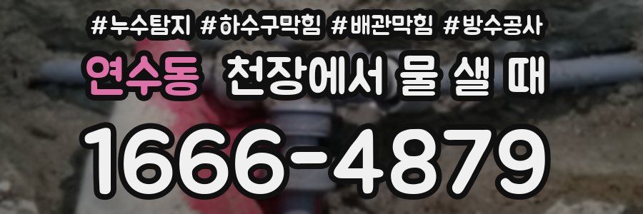 연수동 천장에서 물 샐 때