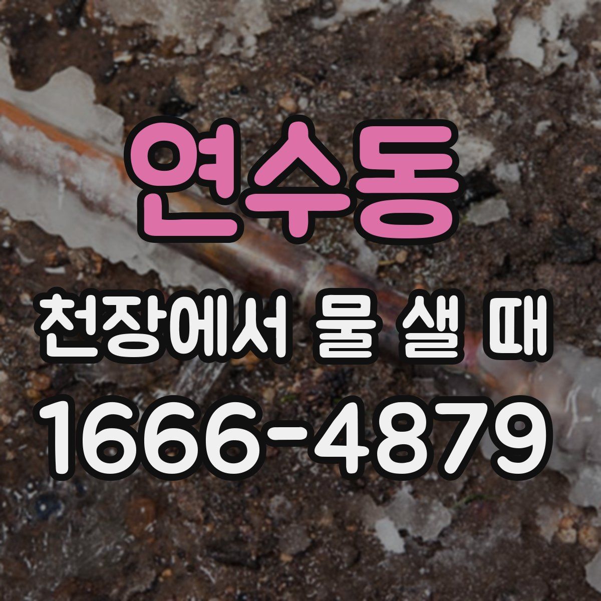 연수동 천장에서 물 샐 때