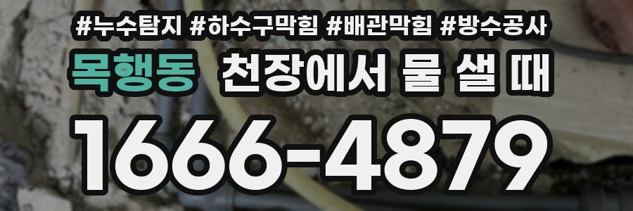 목행동 천장에서 물 샐 때