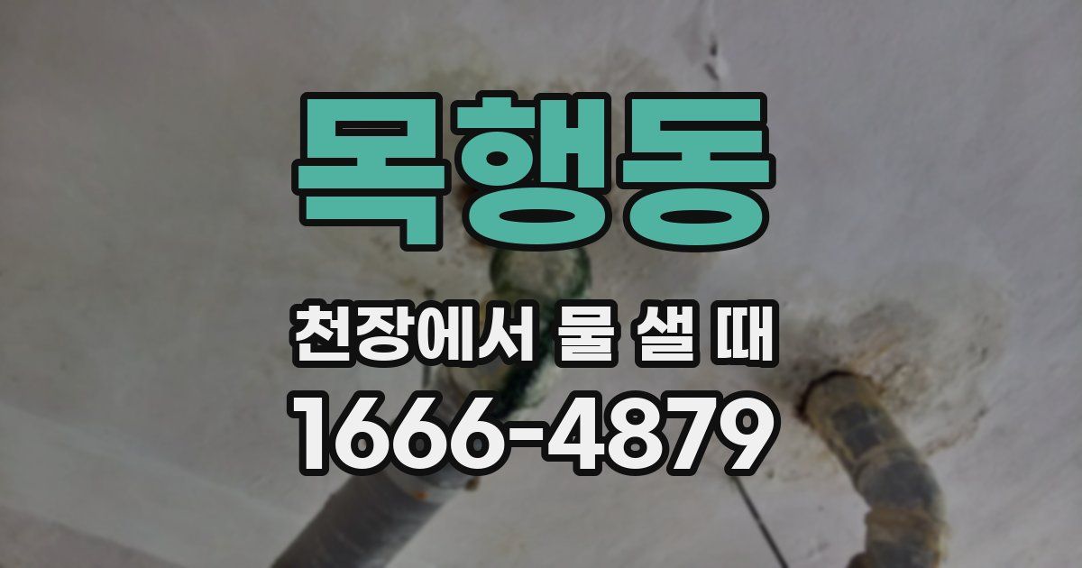 목행동 천장에서 물 샐 때
