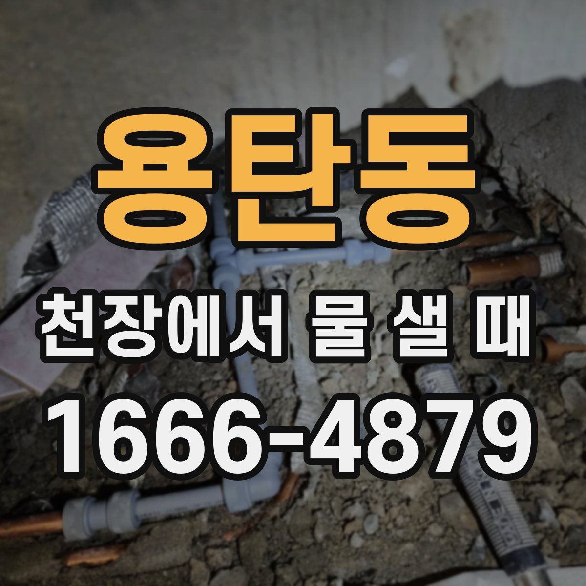 용탄동 천장에서 물 샐 때